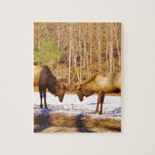 2~ 2 Bull Elk in de sneeuw Legpuzzel