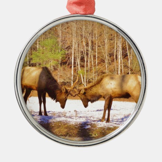 2~ 2 Bull Elk in de sneeuw Metalen Ornament (Voorkant)