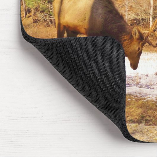 2~ 2 Bull Elk in de sneeuw Muismat (Hoek)