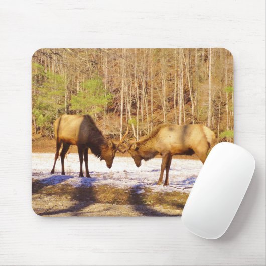 2~ 2 Bull Elk in de sneeuw Muismat (Met muis)