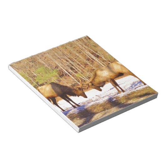 2~ 2 Bull Elk in de sneeuw Notitieblok (Schuin)