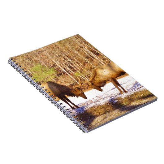 2~ 2 Bull Elk in de sneeuw Notitieboek (Rechterzijde)