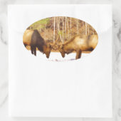 2~ 2 Bull Elk in de sneeuw Ovale Sticker (Tas)