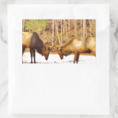 2~ 2 Bull Elk in de sneeuw Rechthoekige Sticker (Tas)