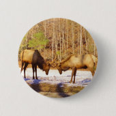 2~ 2 Bull Elk in de sneeuw Ronde Button 5,7 Cm (Voorkant)