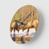 2~ 2 Bull Elk in de sneeuw Ronde Klok (Hoek)