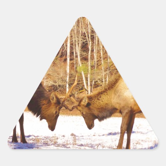 2~ 2 Bull Elk in de sneeuw Sticker (Voorkant)