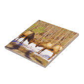 2~ 2 Bull Elk in de sneeuw Tegeltje (Zijkant)