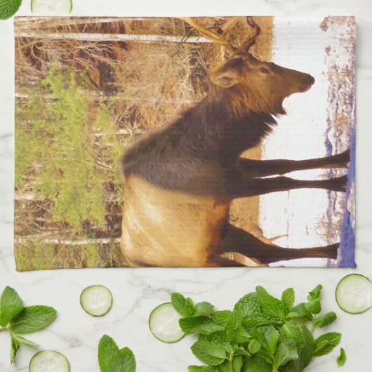 2~ 2 Bull Elk in de sneeuw Theedoek (Gevouwen)