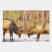 2~ 2 Bull Elk in de sneeuw Theedoek (Horizontaal)