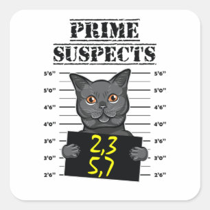 2,3,5,7 - hoofdverdachten vierkante sticker