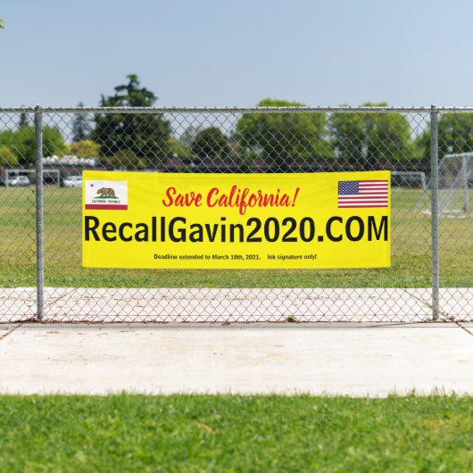 2,5 ft x 8 ft Recallgavin2020-banner Spandoek (Insitu)