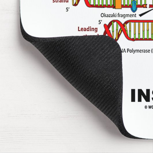 2,5% Neanderthaler DNA in DNA-replicatie Muismat (Hoek)