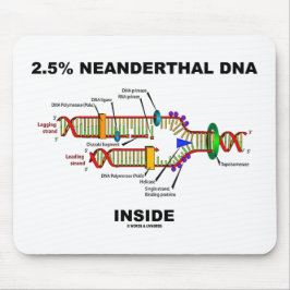 2,5% Neanderthaler DNA in DNA-replicatie Muismat