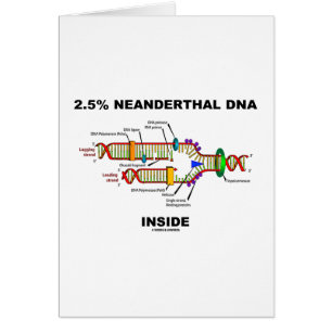 2,5% Neanderthaler DNA Inside (DNA-replicatie)