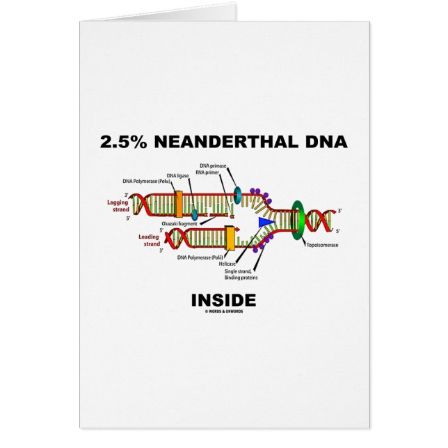 2,5% Neanderthaler DNA Inside (DNA-replicatie) (Voorkant)