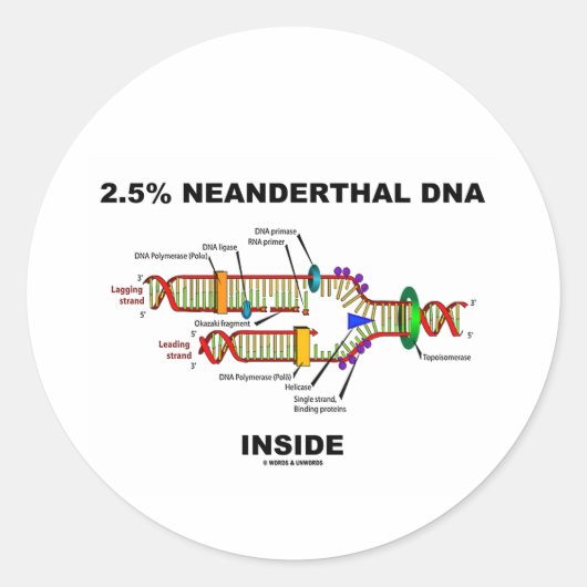 2,5% Neanderthaler DNA Inside (DNA-replicatie) Ronde Sticker (Voorkant)