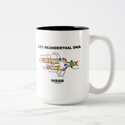 2,5% Neanderthaler DNA Inside (DNA-replicatie) Tweekleurige Koffiemok (Rechts)
