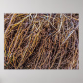 2 afdrukken, Poster papier (halfglanzend) (Voorkant)