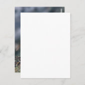 2 ants briefkaart (Voorkant / Achterkant)