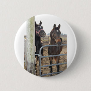 2 Barn Horses Ronde Button 5,7 Cm