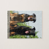 2 Beaucerons Legpuzzel (Horizontaal)
