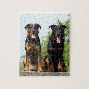 2 Beaucerons Legpuzzel