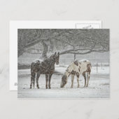 2 besneeuwde paarden onder een boom briefkaart (Voorkant / Achterkant)