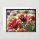 2 bijen op de ventilator aan de voorzijde. briefkaart (Voorkant / Achterkant)