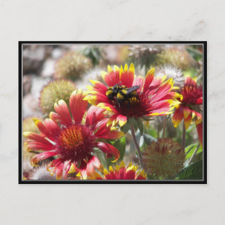 2 bijen op de ventilator aan de voorzijde. briefkaart