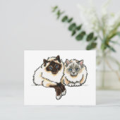 2 Birman Briefkaart (Staand voorkant)