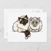 2 Birman Briefkaart (Voorkant / Achterkant)