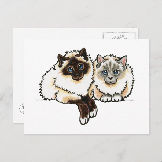 2 Birman Briefkaart (Voorkant / Achterkant)
