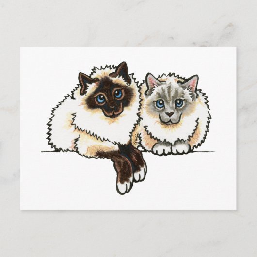 2 Birman Briefkaart (Voorkant)