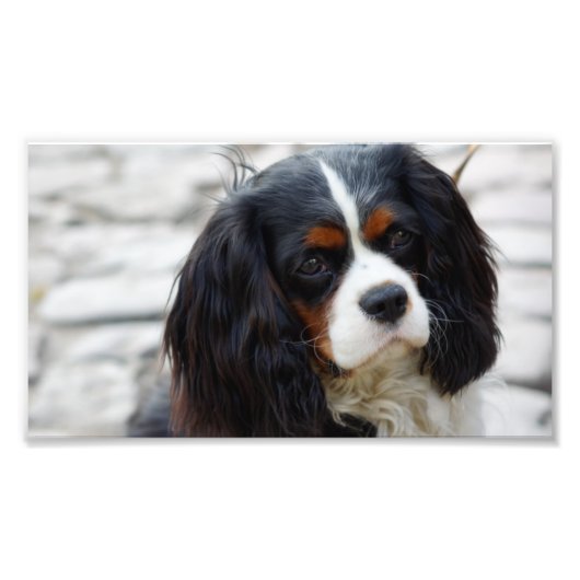 2 bis. foto afdruk (Voorkant)