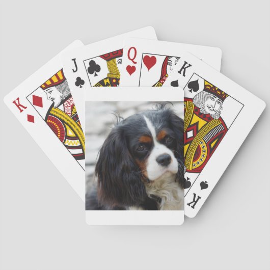 2 bis. pokerkaarten (Achterkant)