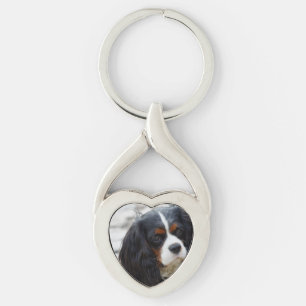 2 bis. sleutelhanger