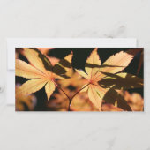 2 bladeren in Herfst Sympathie Dank je wel Bedankkaart (Achterkant)