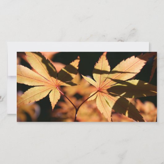 2 bladeren in Herfst Sympathie Dank je wel Bedankkaart (Achterkant)