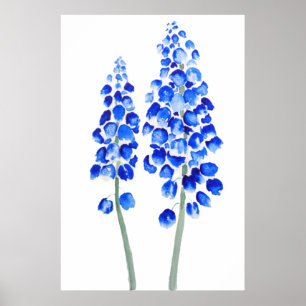 2 blauwe abstracte waterverf van de hyacinth-druif poster