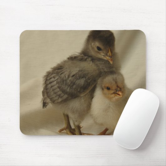 2 Blauwe/grijze kuikens Muismat (Met muis)