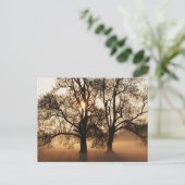 2 BOMEN SEPIA GOLD SINAASAPPEL BRIEFKAART (Staand voorkant)