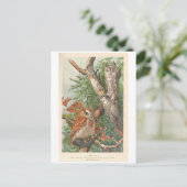 2 boze  uilen in een boom briefkaart (Staand voorkant)