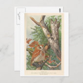 2 boze  uilen in een boom briefkaart (Voorkant / Achterkant)