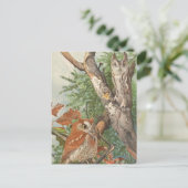 2 boze uilen in een boom briefkaart (Staand voorkant)