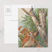 2 boze uilen in een boom briefkaart (Voorkant / Achterkant)