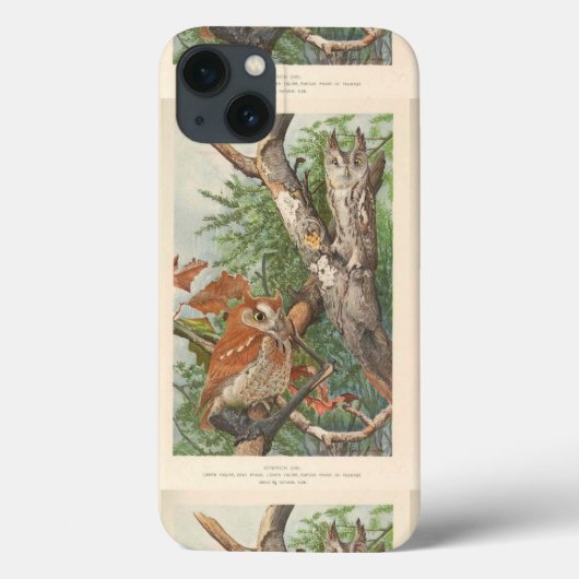 2 boze uilen in een boom Case-Mate iPhone case (Achterkant)