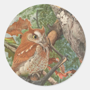 2 boze  uilen in een boom ronde sticker