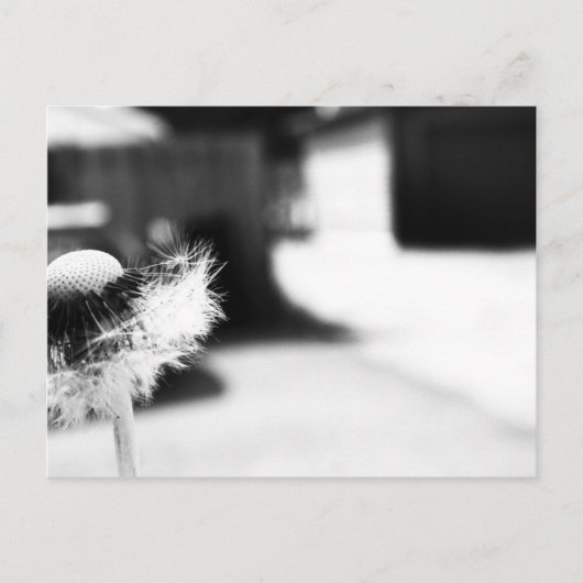 2 BRIEFKAART (Voorkant)