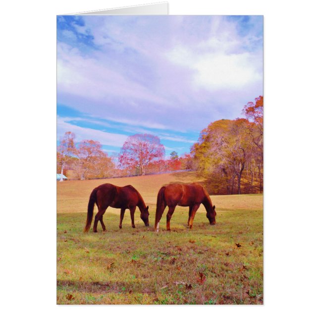 2 Bruine paarden in een gekleurd veld (Voorkant)